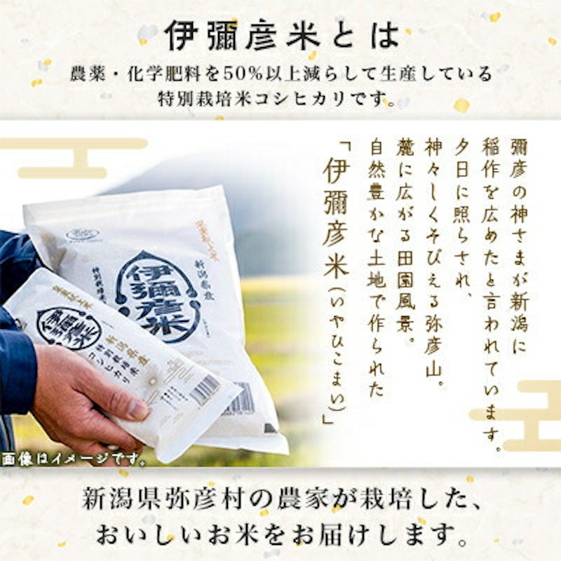 皇室献上米 伊彌彦米 3