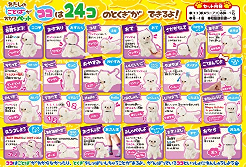 ココさかだちしてPremium 6