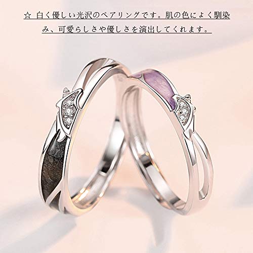 ペアリング  2