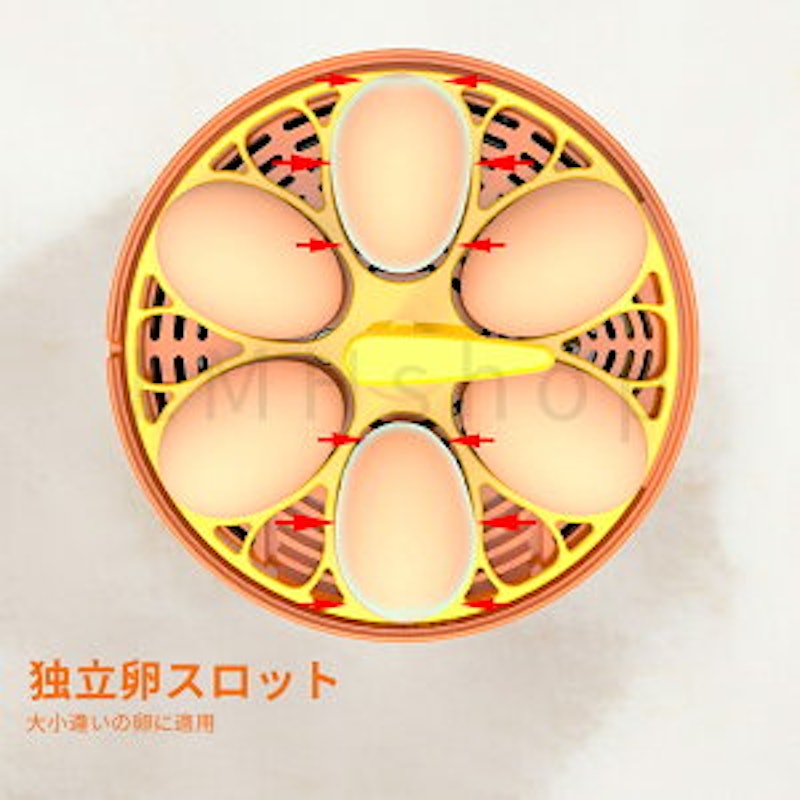 自動孵卵器 3