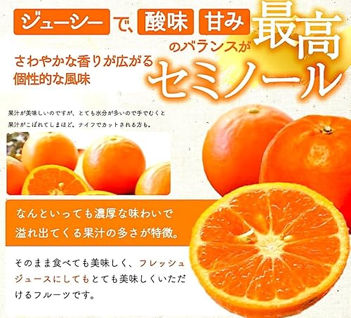 セミノール 3