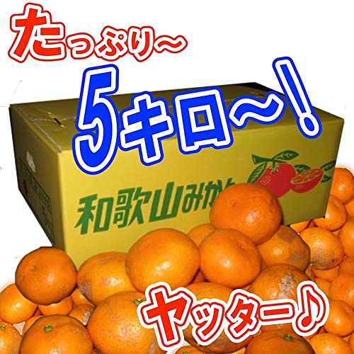 和歌山 訳あり みかん 5