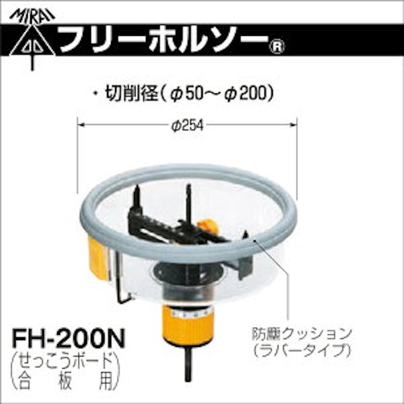 フリーホルソー 1