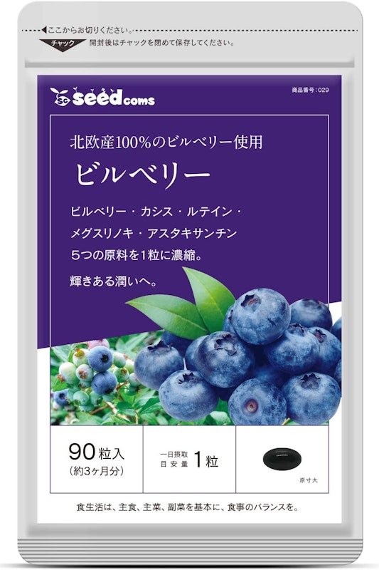 ビルベリー 1