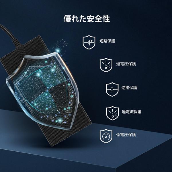 リン酸鉄リチウムイオンバッテリー専用充電器 4