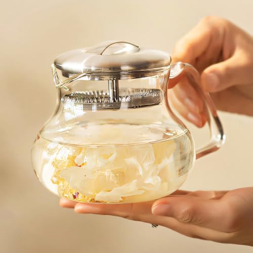 急須 ジャパン ティーポット 1000ml クリアガラス 直火用 耐熱