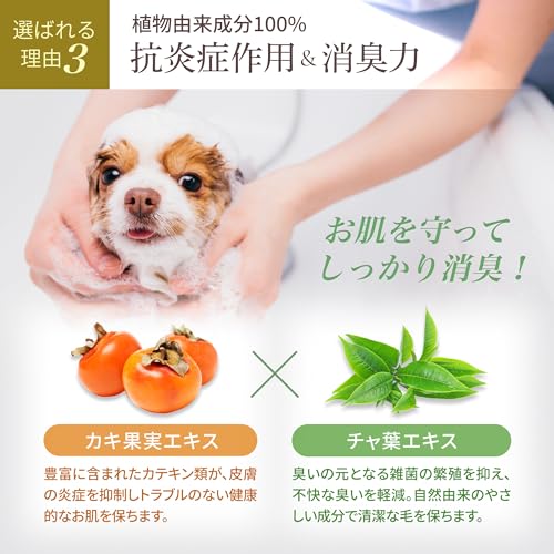 Organic Shampoo　速乾オーガニックシャンプー 6