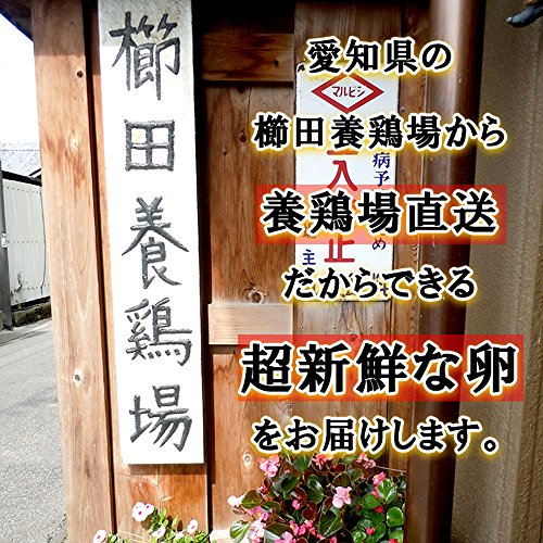 名古屋コーチンの卵 9