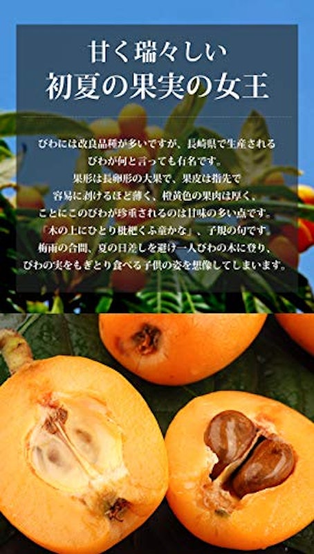 長崎びわ 露地栽培 5
