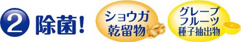ジョイペット 天然成分消臭剤 オシッコのニオイ・汚れ専用 4