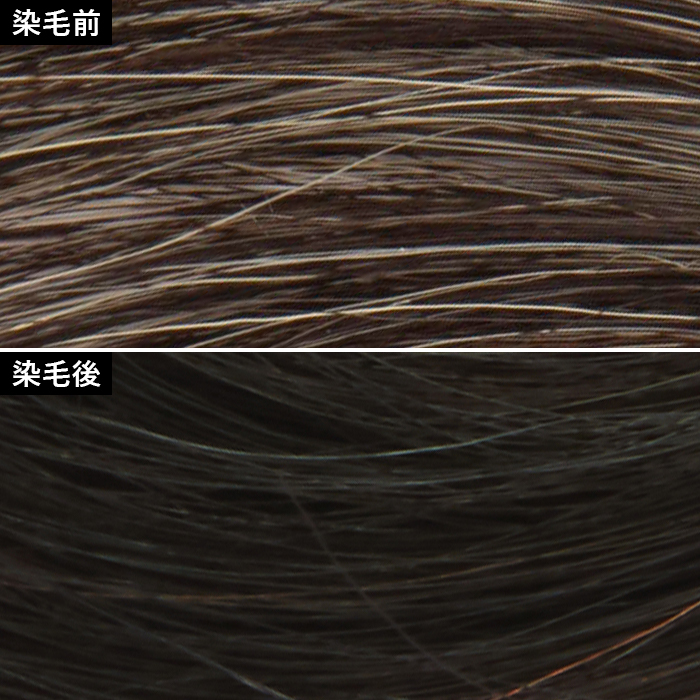 徹底比較 白髪染めトリートメントのおすすめ人気ランキング22選 Mybest