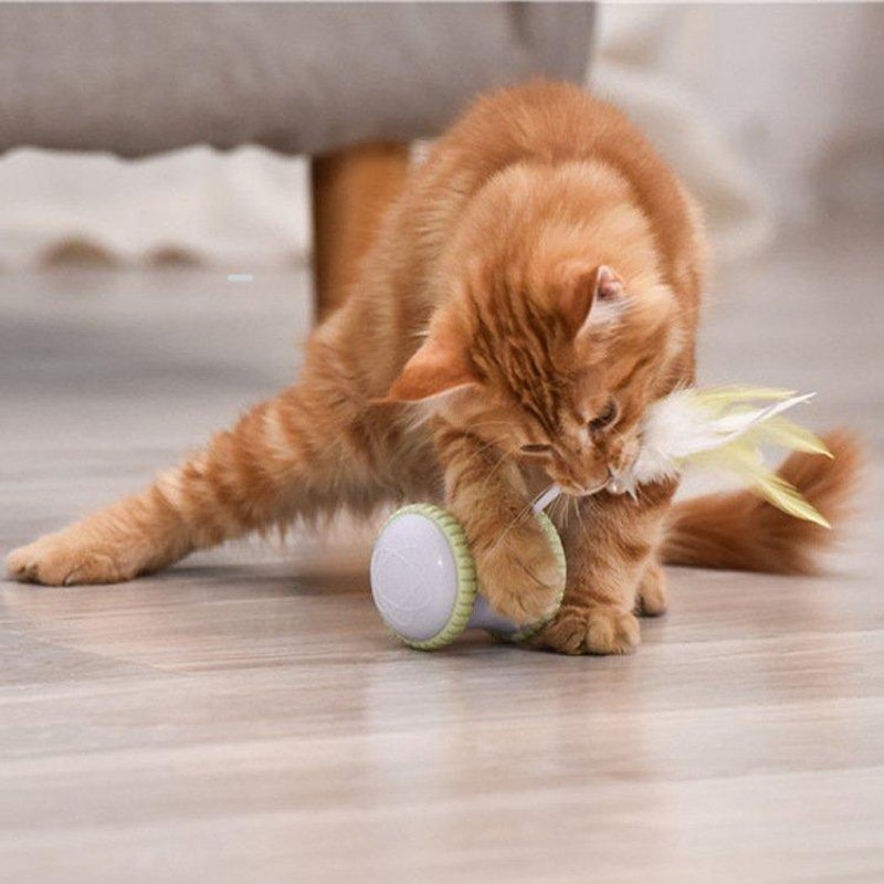 自動猫じゃらし 2