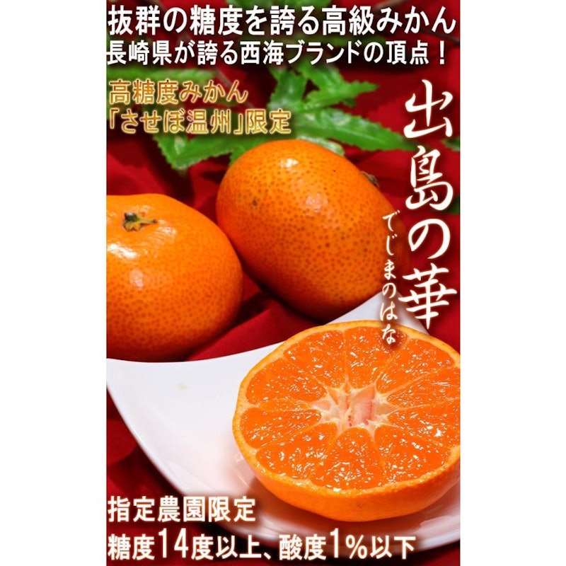 出島の華 プレミアム西海みかん 2