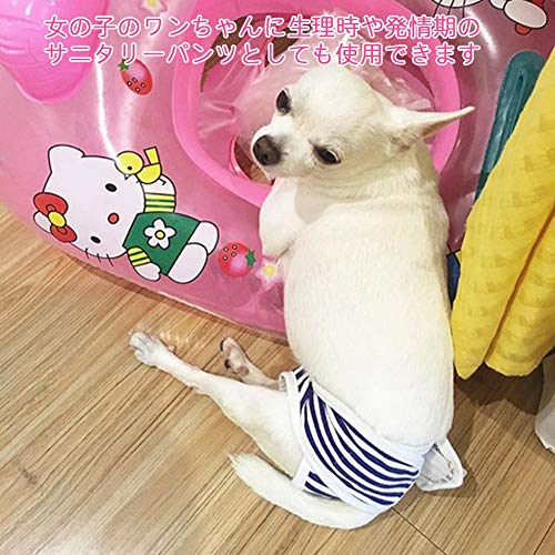 22年 犬用サニタリーパンツのおすすめ人気ランキング選 Mybest