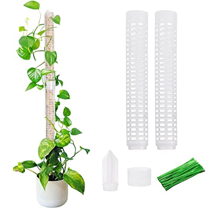 ブーゲンビリア バリエガータ の特徴や育て方 剪定の時期や方法等の紹介 Beginners Garden 庭の植物クリップは植物を登るための植物の茎のクリップを調整する Vladatk Gov Ba ブーゲンビリア バリエガータ の特徴や育て方 剪定の時期や方法等の紹介 Beginners Garden 庭の植物クリップは植物を登るための植物の茎のクリップを調整する Vladatk Gov Ba