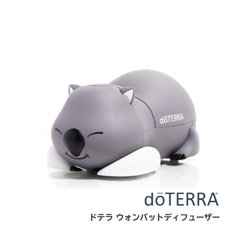 ウォンバットディフューザー 1