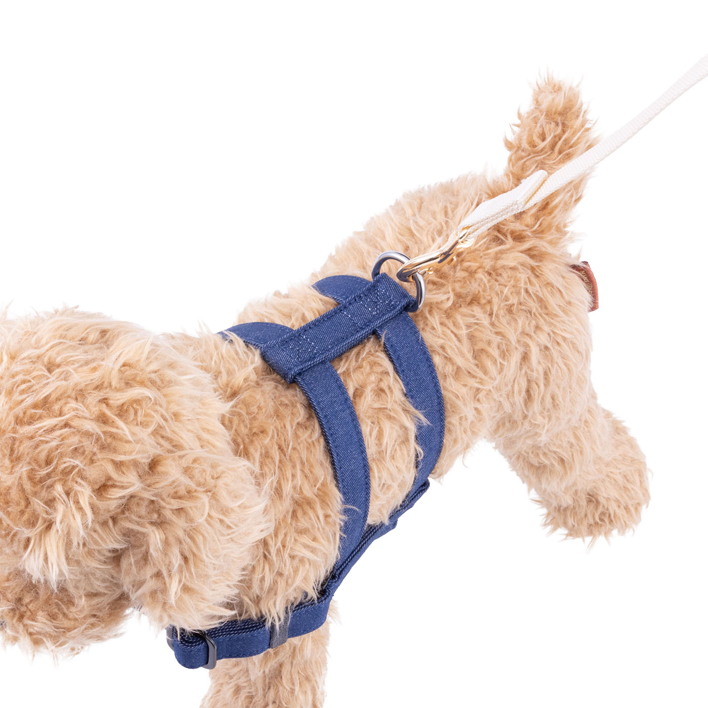 犬用ハーネス 6