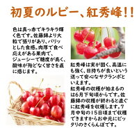さくらんぼ 2