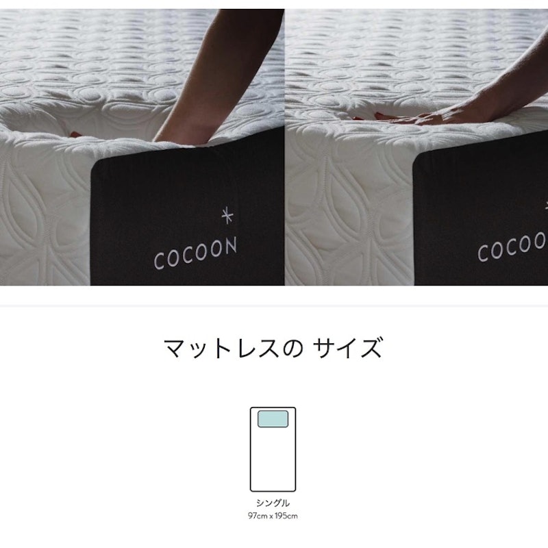 コクーン スタンダード 8