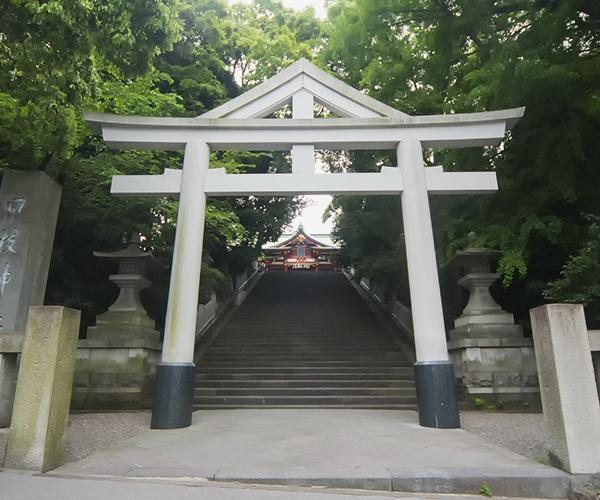 東京五社 御朱印 5枚組 靖国神社 明治神宮 東京大神宮 大國魂神社