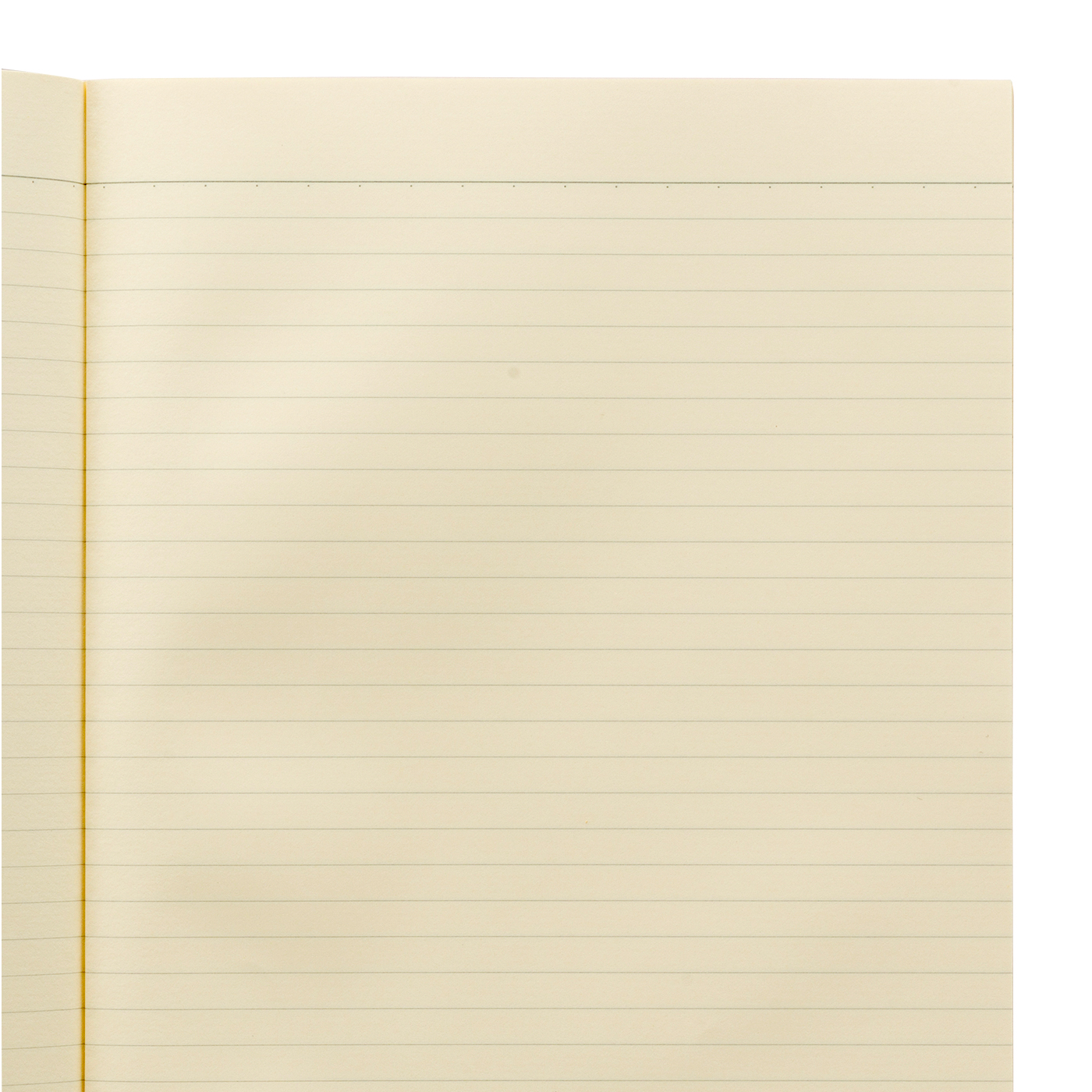 ライフ シェプフェルを他商品と比較 口コミや評判を実際に使ってレビューしました Mybest