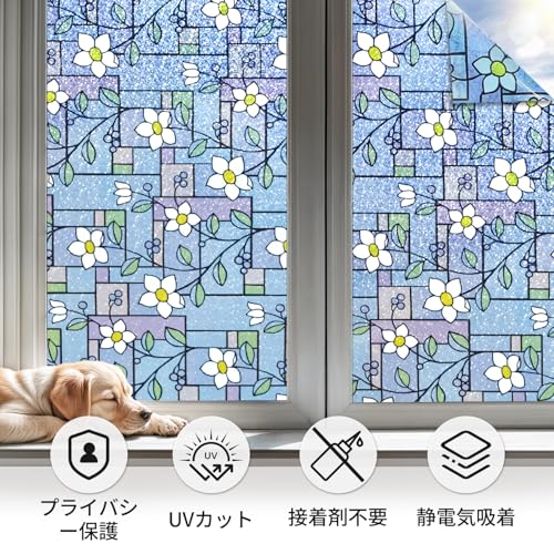 窓用フィルム 6