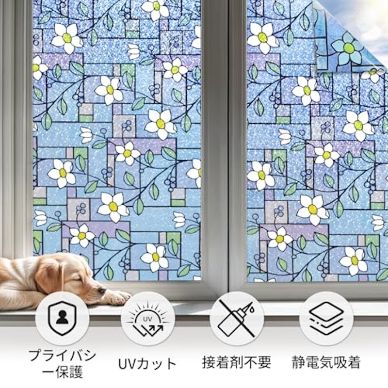 窓用フィルム 6