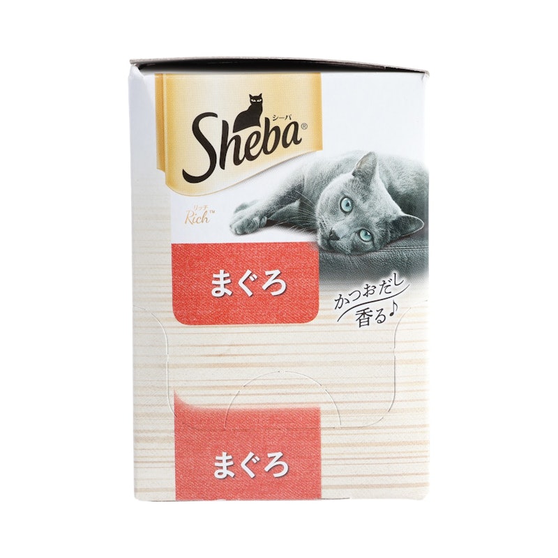 成猫用 1
