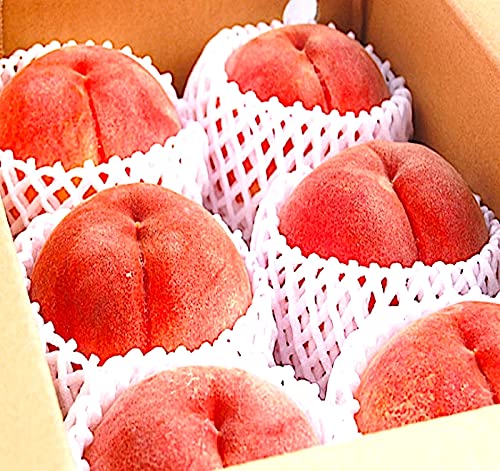 桃 大玉 2