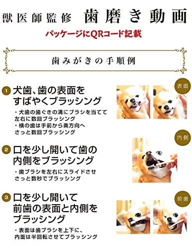 柔らかい天然毛歯ブラシ 7