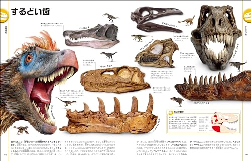 改訂版　恐竜と古代の生き物図鑑 5