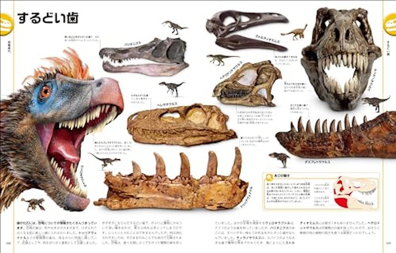改訂版 恐竜と古代の生き物図鑑 5