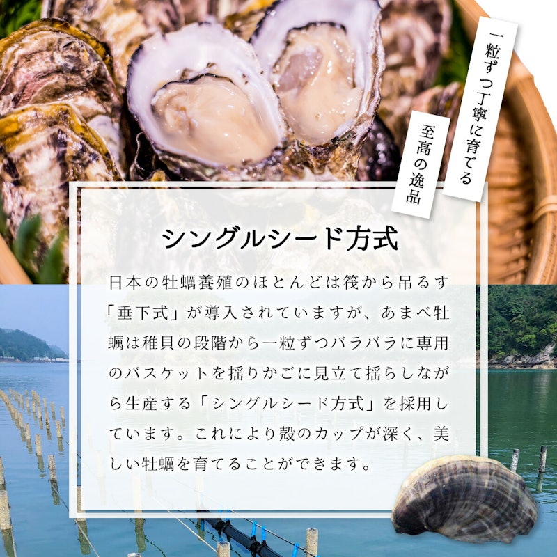 あまべ牡蠣 20個 5