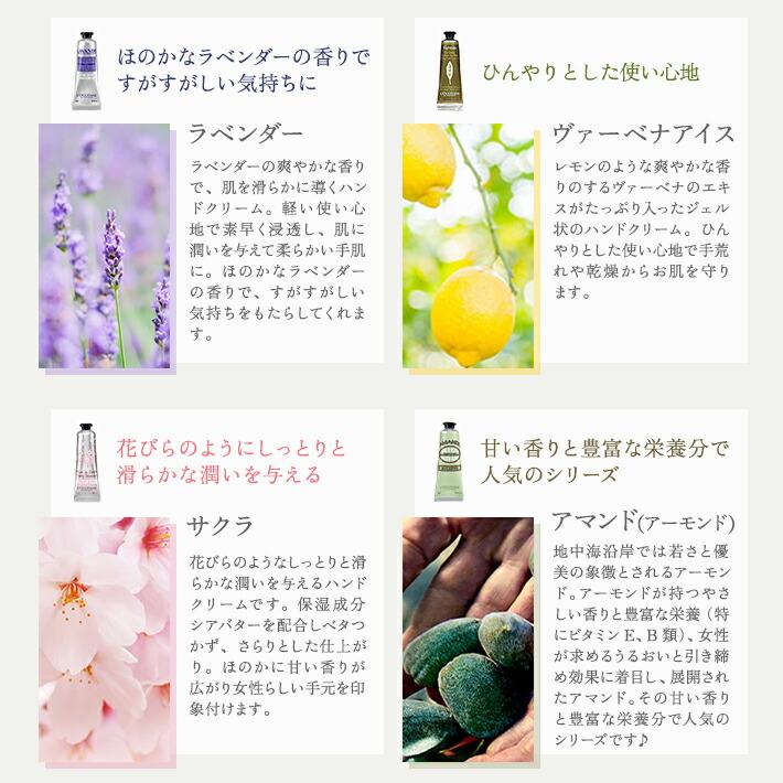 ハンドクリーム ふんわりライト & ソープフラワー セット 9