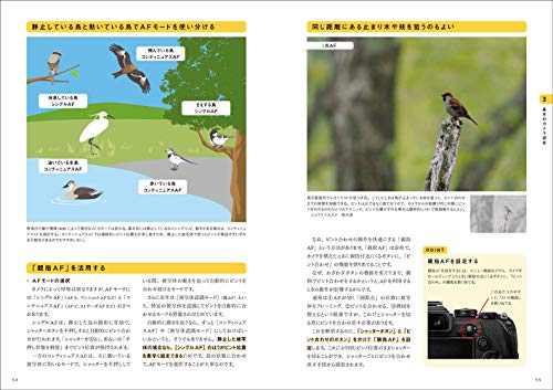 図解でわかる野鳥撮影入門  4