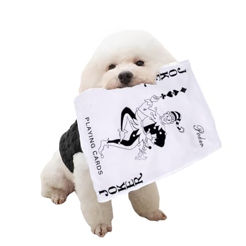 犬専用新聞おもちゃ 1