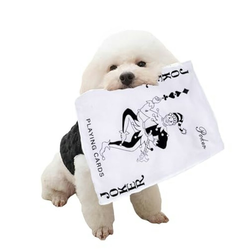 犬専用新聞おもちゃ 1