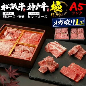  極4点セット 1
