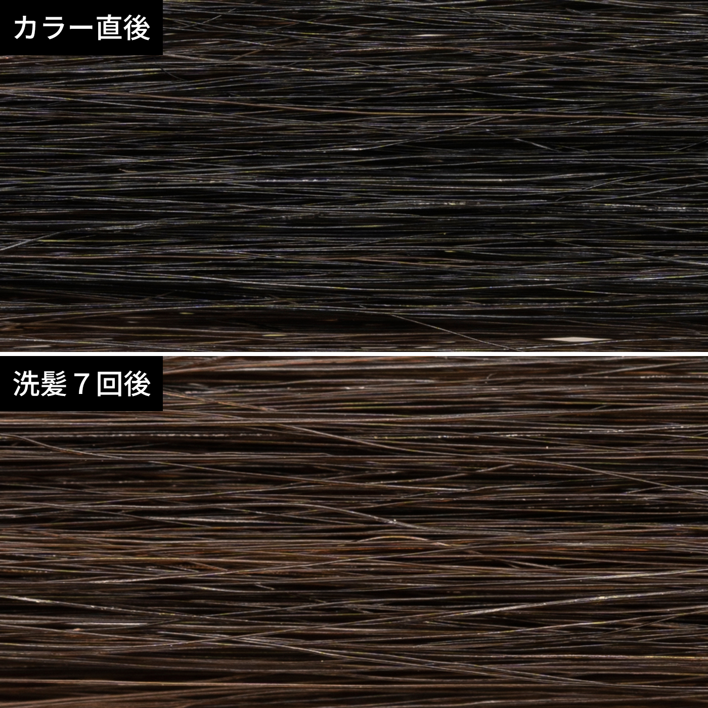 21年 黒染めのおすすめ人気ランキング9選 徹底比較 Mybest