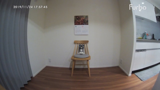 塚本無線 みてるちゃんを全16商品と比較 口コミや評判を実際に使ってレビューしました Mybest 塚本無線 みてるちゃんを全16商品と比較 口コミや評判を実際に使ってレビューしました Mybest