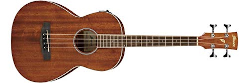 Ibanez PNB14E OPN 1