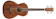 星野楽器 Ibanez PNB14E OPN 1
