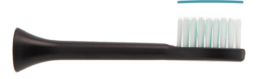 Dentaly 6