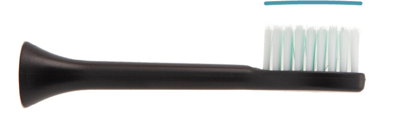 Dentaly 6