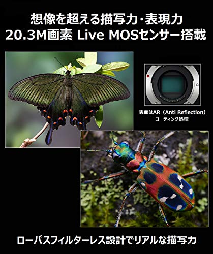 LUMIX G9 PRO 3