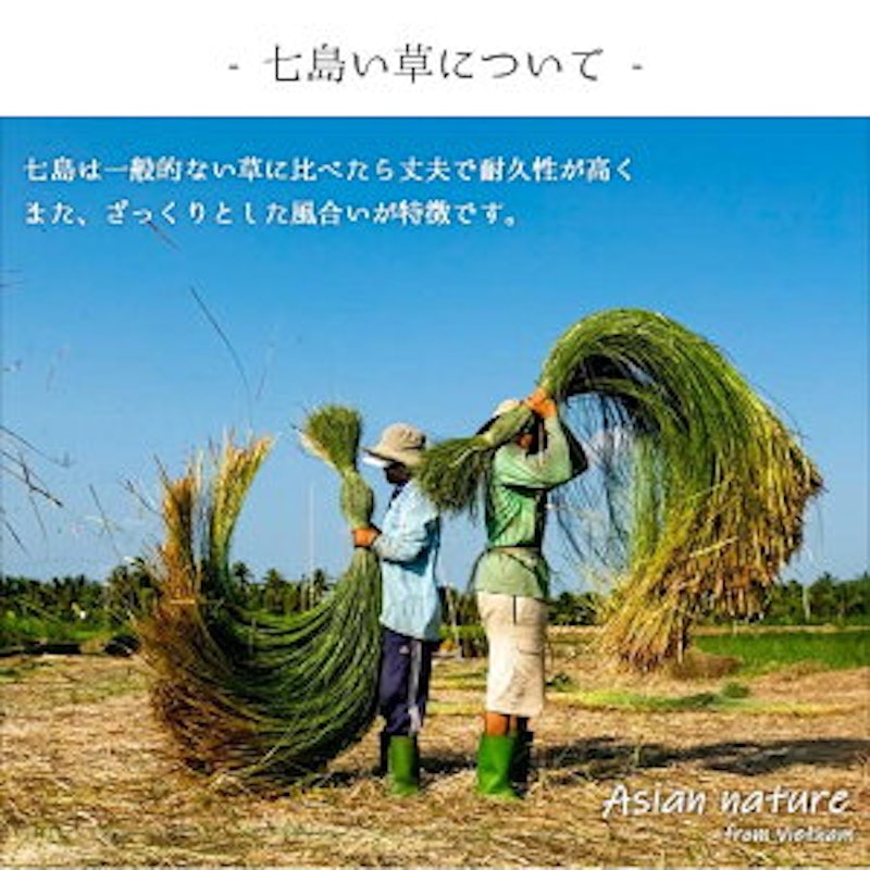 七島い草 草履 市松 3