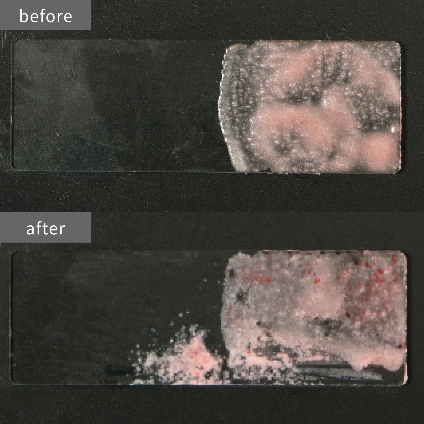 ダヴメン クリーンコンフォート泡洗顔を全38商品と比較 口コミや評判を実際に使ってレビューしました Mybest