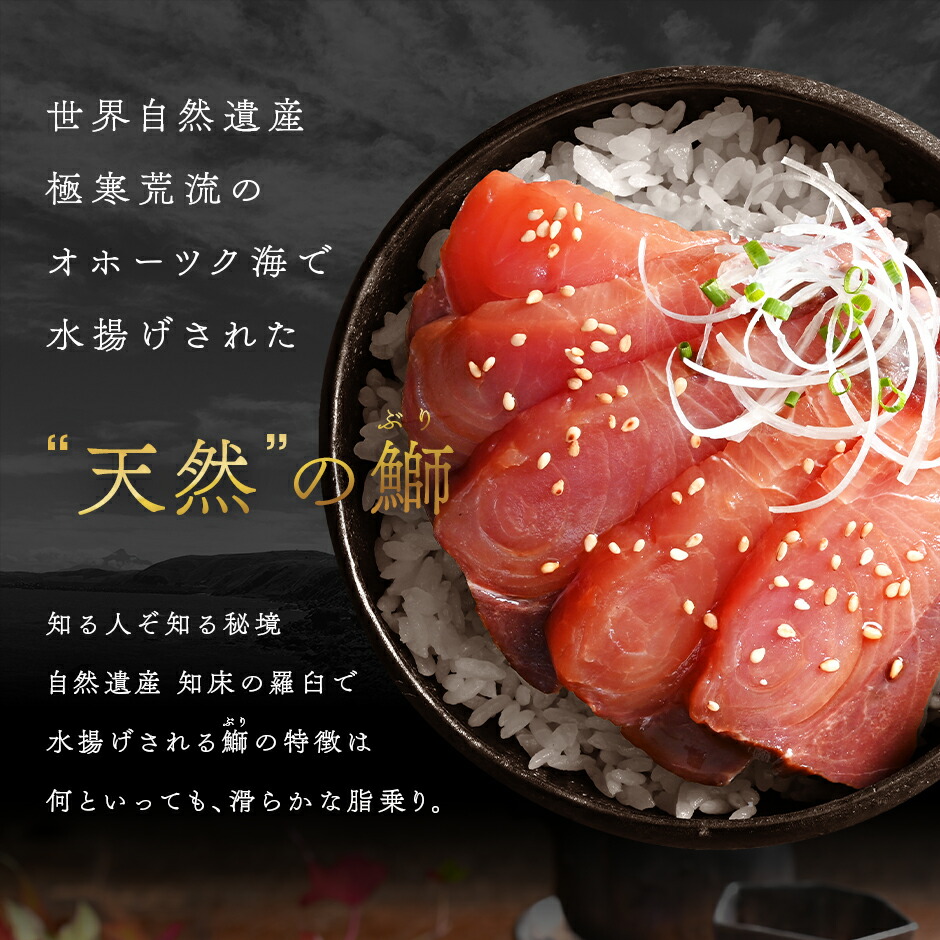 天然ぶり刺身 2