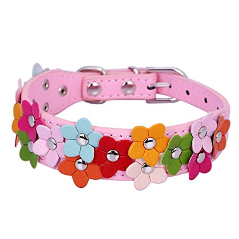 21年 犬用首輪のおすすめ人気ランキング22選 Mybest 21年 犬用首輪のおすすめ人気ランキング22選 Mybest