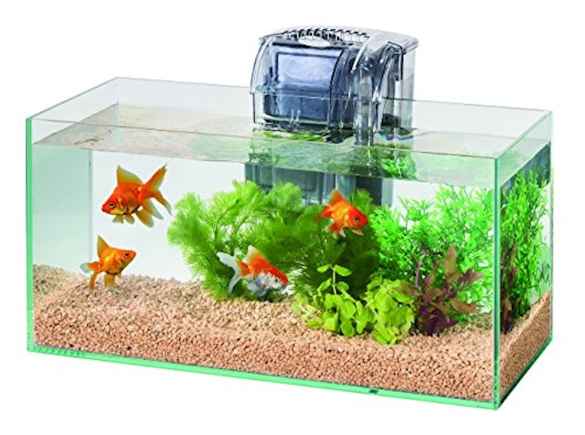 21年 水槽用フィルターのおすすめ人気ランキング10選 Mybest 21年 水槽用フィルターのおすすめ人気ランキング10選 Mybest